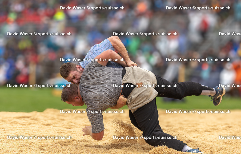 Orlik Armon ___ - Gasser Dominik ___4 | sports-suisse.ch