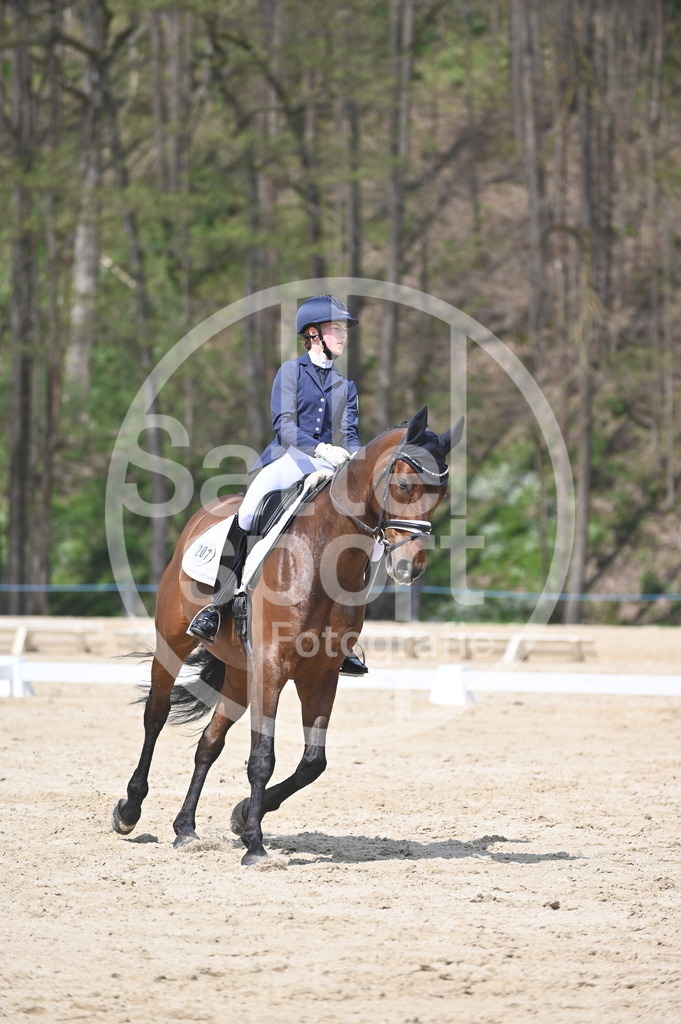 DSC_2133 | sattelsport - Realisiert mit Pictrs.com