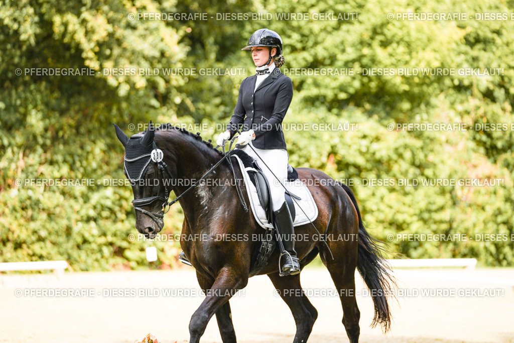 DSC02972 | Pferdegrafie