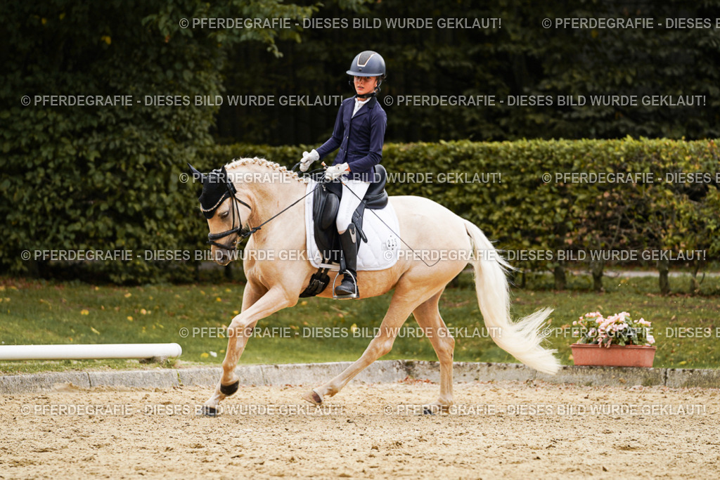 DSC00546 | Pferdegrafie