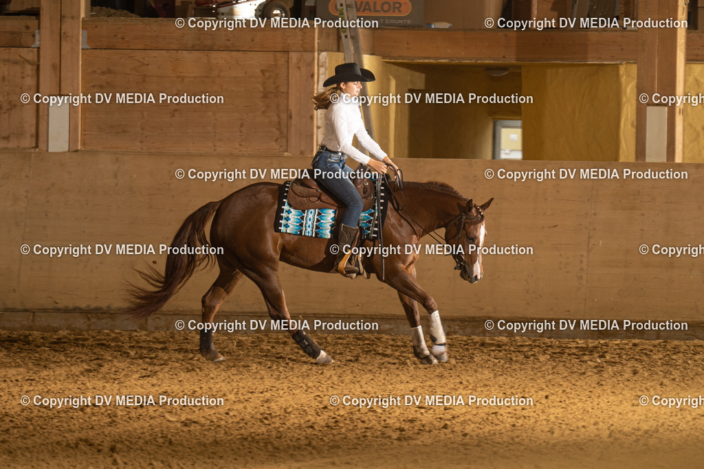 LAU00315 | dv-media-shop - Realisiert mit Pictrs.com