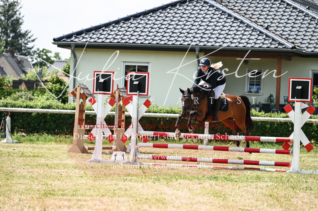 DSC_9282 | Pferde- und Turnierfotografie in Westsachsen. Pferdeportraits, Auftragszeichnungen und intuitive Kunst.