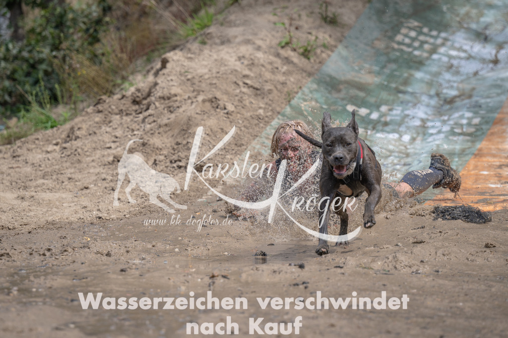 1239_ZZ92920 | kk-dogfotos