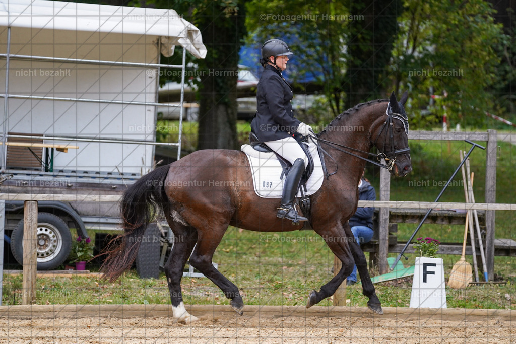 20231007-SN_00954 | Professionelle Turnier- und Reitsportfotografie - mit dem Finger am Auslöser. Pferdebilder aus dem Reitsport von den Turnierfotografen  Bayern , Pferdefotograf Bayern, Pferdeshooting Turnierbilder, Hochzeitsfotograf, Eventfotograf, Hochzeitsbilder