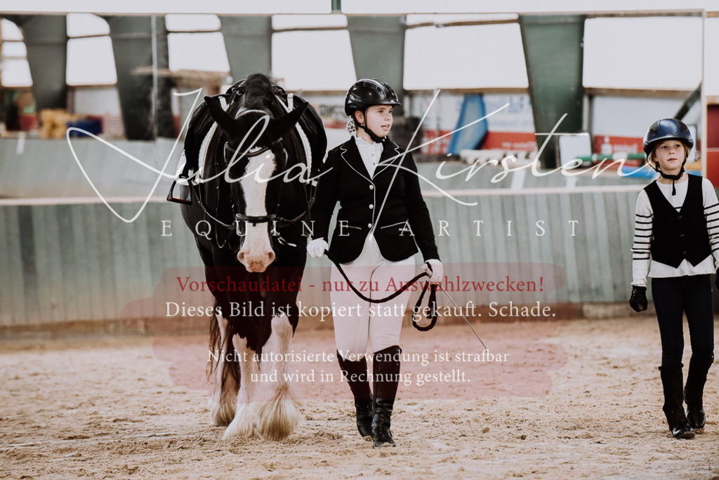 DSC_6861 | Pferde- und Turnierfotografie in Westsachsen. Pferdeportraits, Auftragszeichnungen und intuitive Kunst.