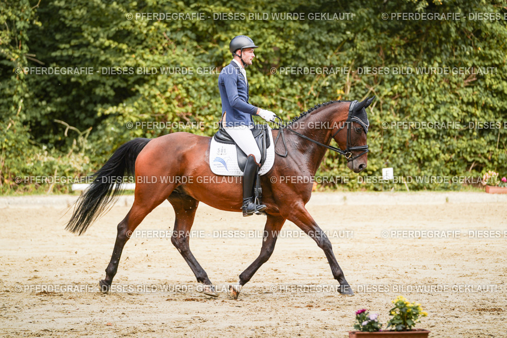 DSC09108 | Pferdegrafie