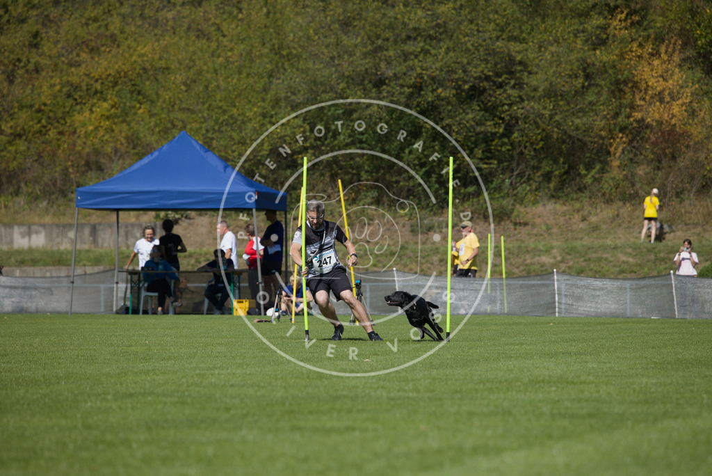 0L8A6234 | Hundefotografie, Tierfotograf, Pfotenfotografie, Fotoshooting Hund, Hunde Portrait, Hundesport, Hundeportraits, Heideshooting, Hunde, Sportfotograf, Hundefotograf, Turnierhundsport, THS,  - Realisiert mit Pictrs.com