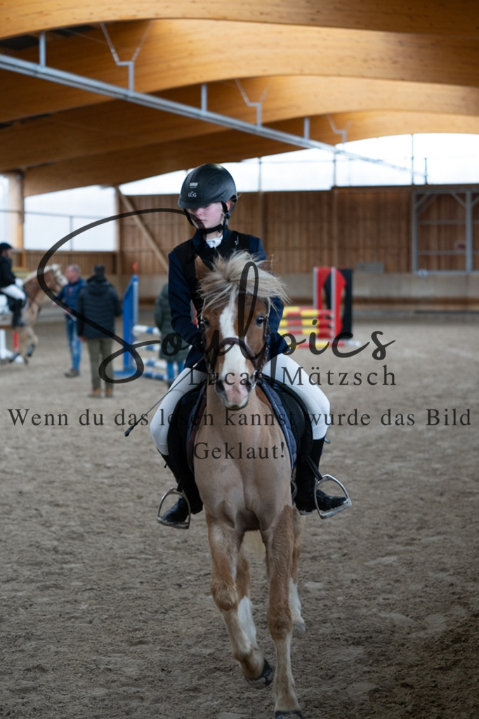 A7V00159 | Pferdefotograf