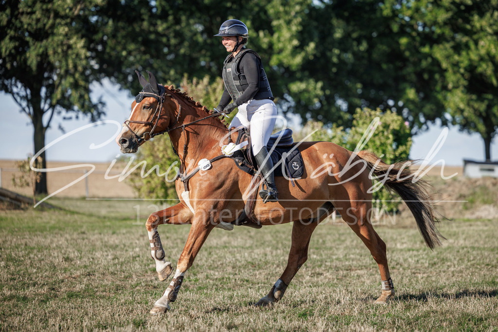20260905-_3LI1126 | Tierfotografie Pferde, Hunde, Katzen, Haustiere.
Turnierfotografie Reitturniere, Reiten, Springreiten, Dressur in Hanau, dem Main-Kinzig-Kreis und dem Rhein-Main- Gebiet um Frankfurt