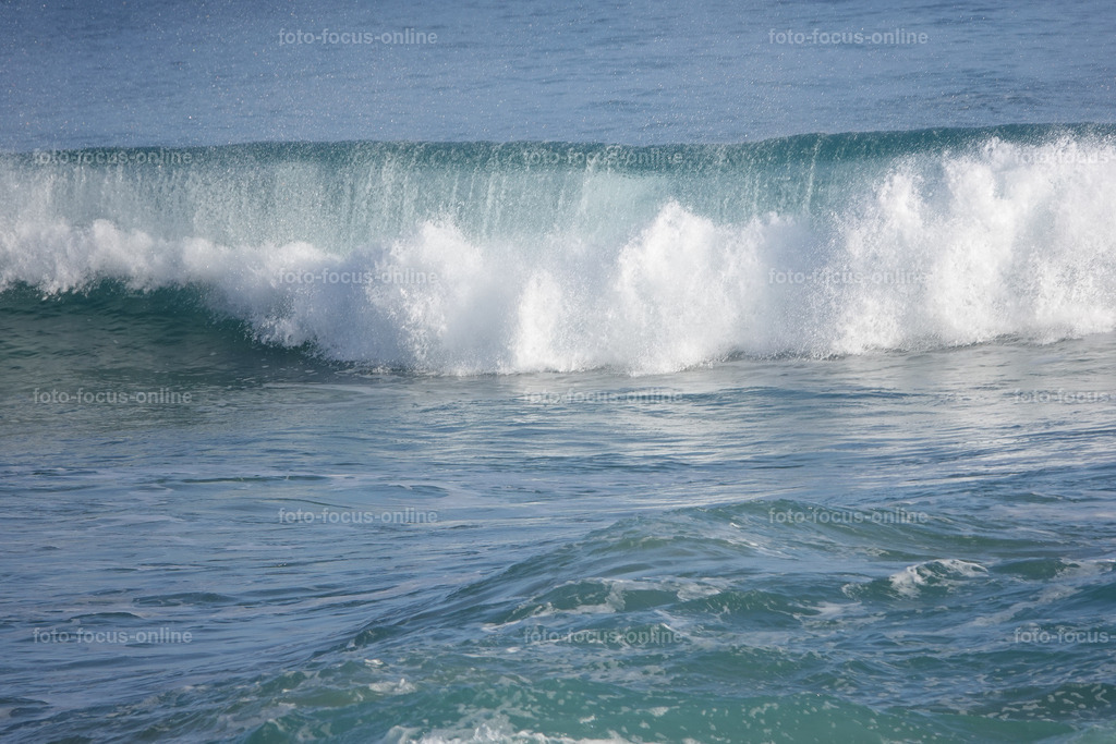 Wild Waves | Wild Waves Atlantic