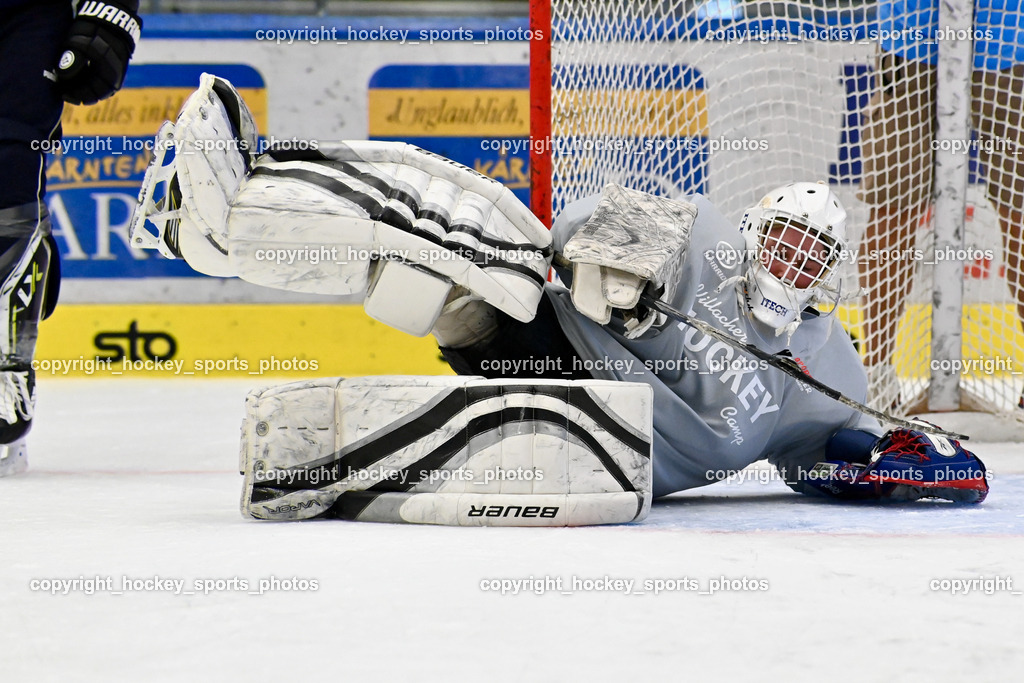 BST_7981 | hockey sports photos, Pressefotos, Sportfotos, hockey247, win 2day icehockeyleague, Handball Austria, Floorball Austria, ÖVV, Kärntner Eishockeyverband, KEHV, KFV, Kärntner Fussballverband, Österreichischer Volleyballverband, Alps Hockey League, ÖFB, 