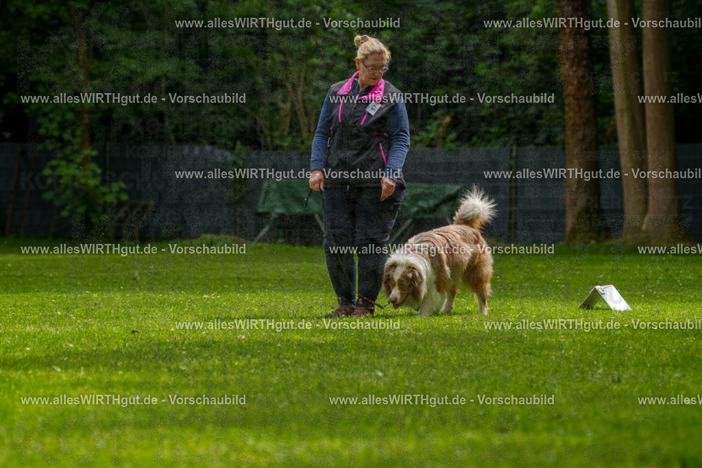 @allesWIRTHgut_Tierfotografie - www.allesWIRTHgut.de - 7R501263 | Professionelle Tierfotografie in Mönchengladbach von Daniel Wirth (allesWIRTHgut). Liebevolle & natürliche Bilder von Hunden & Katzen für unvergessliche Erinnerungen.