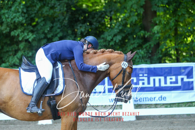 DKP42882 | Turniersportfotografie; Pferdefotografie; Dressurfotografie