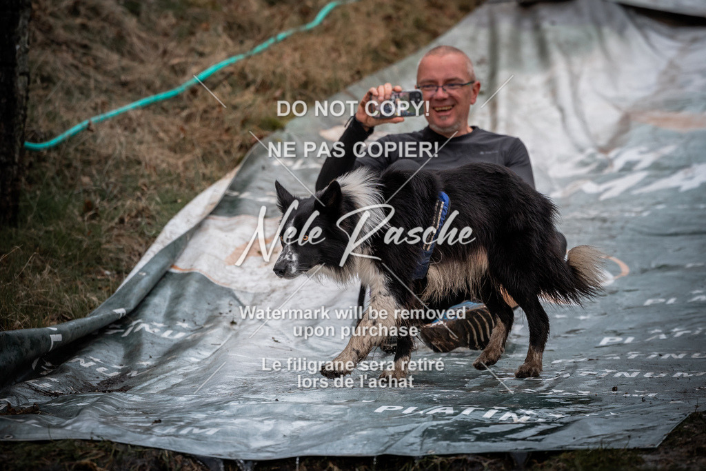 nelerasche_1300-1330_186 | nelerasche