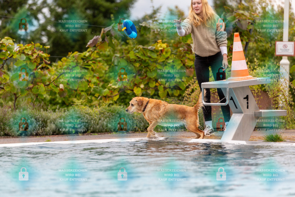 _HP_6101_1000o | HetPix, HetPix Fotodesign, Fotografie, Fotodesign, Webshop, Sportfotografie, Portraitfotografie, Onlineshop, Sportfotografie, Polch, Motorsportfotografie, Eventfotografie