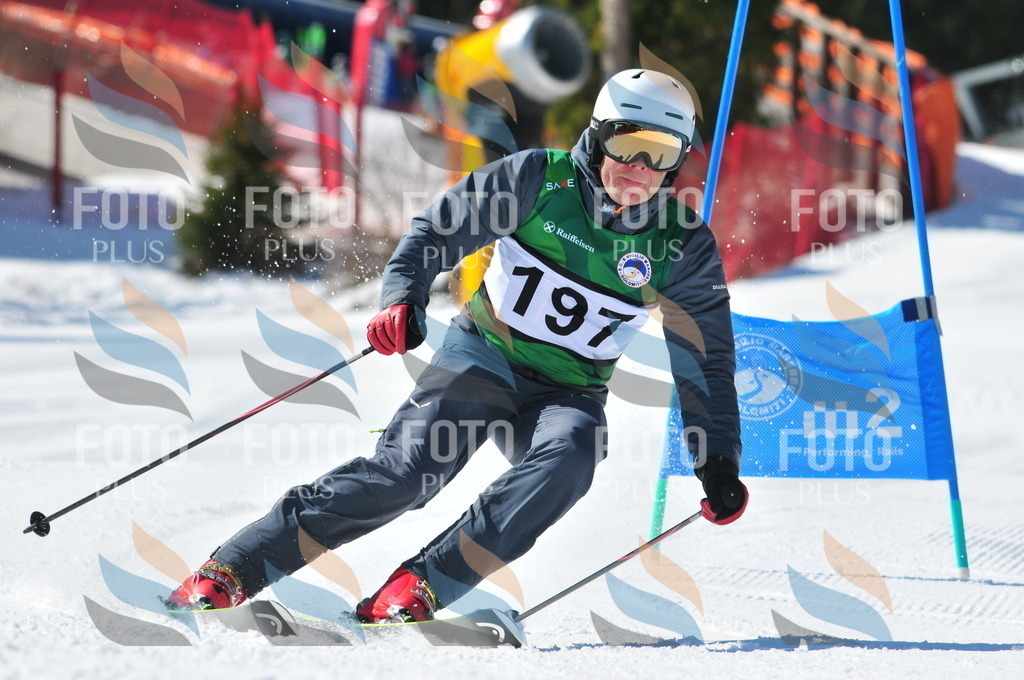 C4444 | holidayphoto