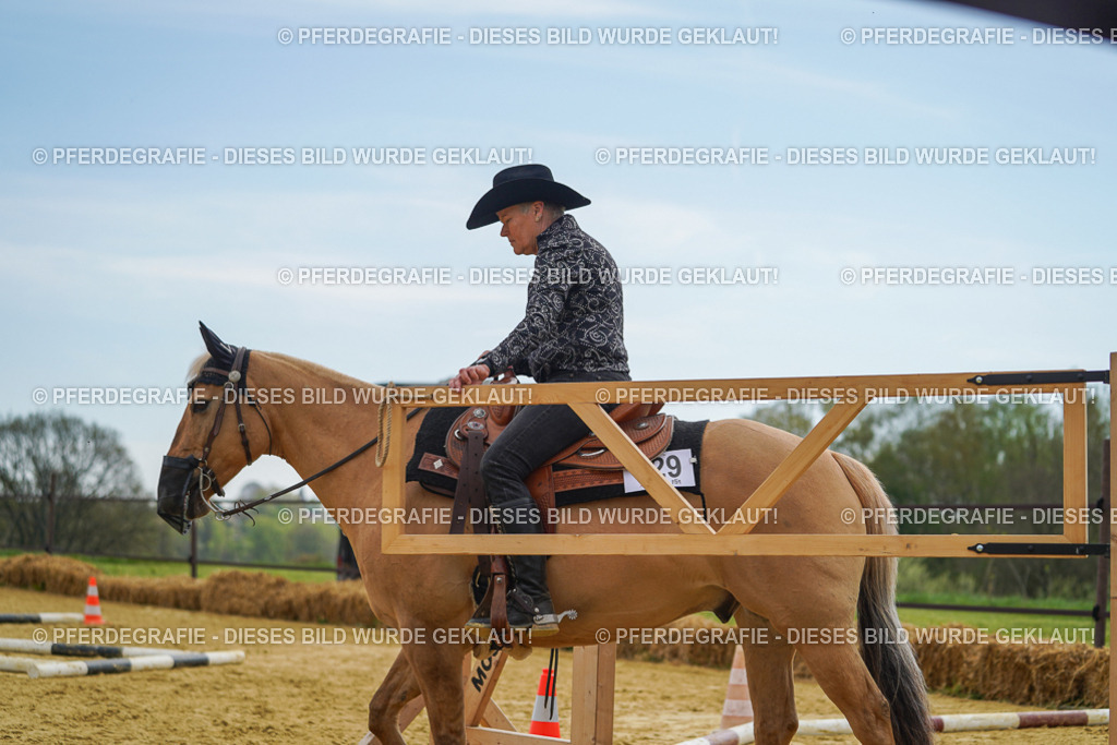 DSC02258 | Pferdegrafie