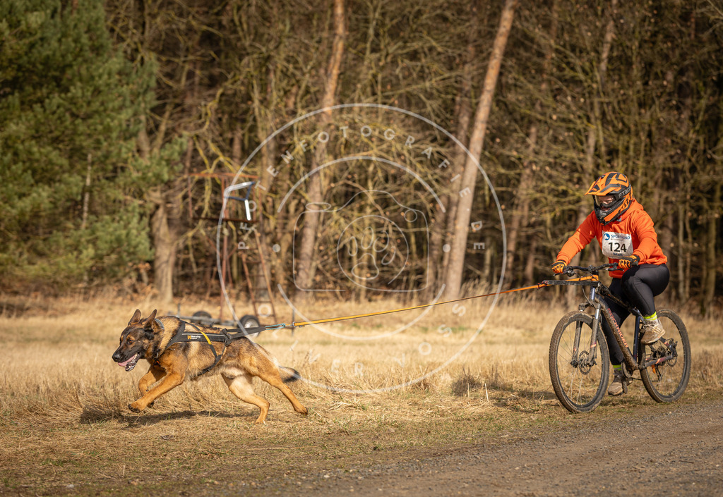 DV3A4255 | Hundefotografie, Tierfotograf, Pfotenfotografie, Fotoshooting Hund, Hunde Portrait, Hundesport, Hundeportraits, Heideshooting, Hunde, Sportfotograf, Hundefotograf, Turnierhundsport, THS,  - Realisiert mit Pictrs.com