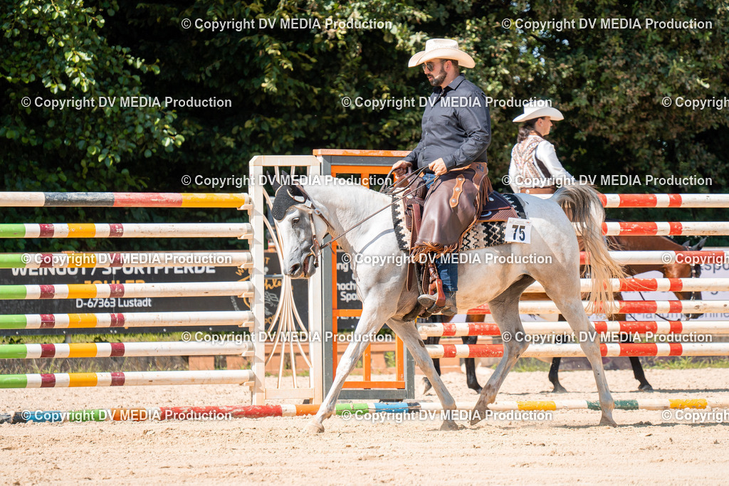 ZH100218 | dv-media-shop - Realisiert mit Pictrs.com