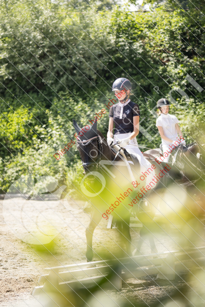 IMG_4616 | Sport-, Event- und Tierfotos in Profiqualität. Einfach auswählen, bestellen und herunterladen. Dein Moment – perfekt festgehalten.