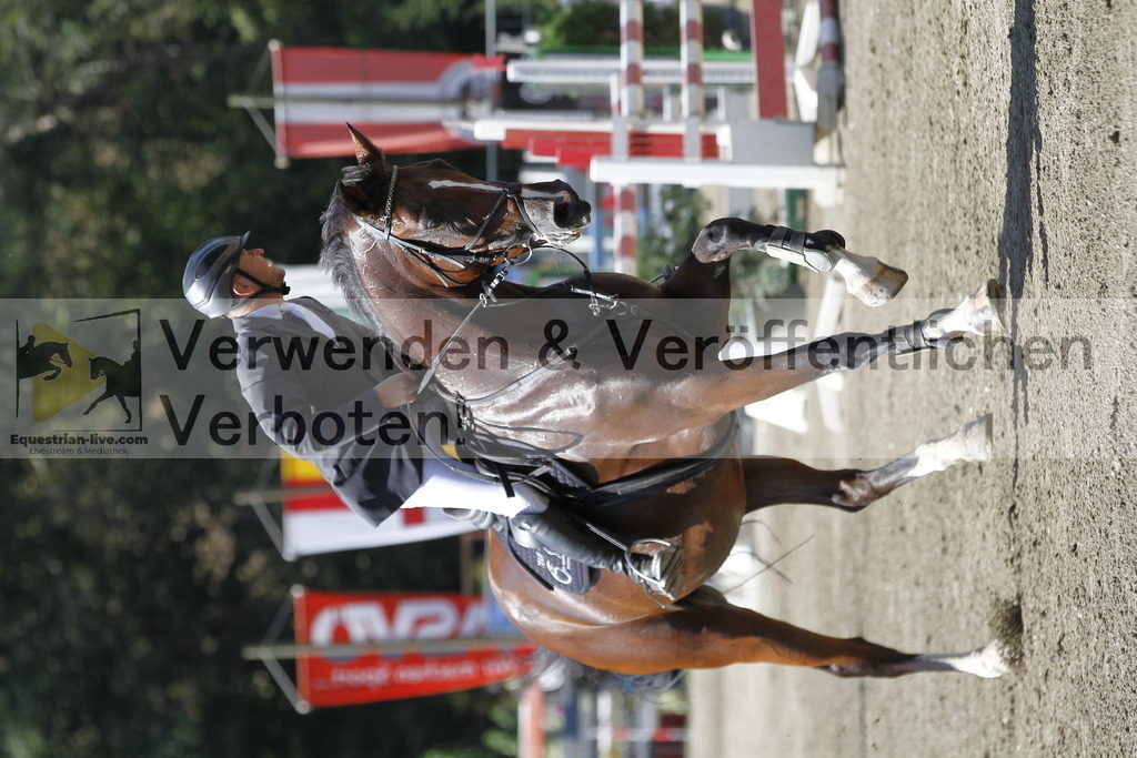 _MG_6362 | equestrian-live-com