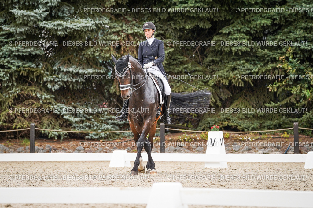 DSC06774 | Pferdegrafie