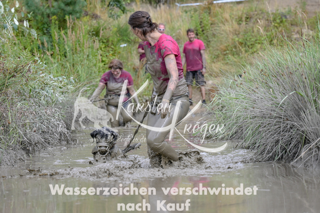 1612_ZZ94199 | kk-dogfotos