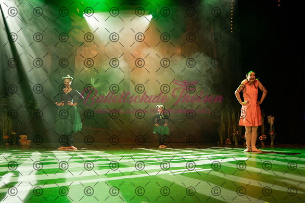 Ballettaufführung-1026 | Bildershop Lem'n Entertainment - Realisiert mit Pictrs.com