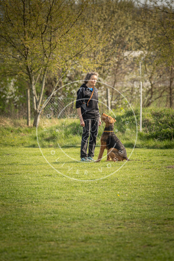 Pfotenfotografie_DV3A4843 | Hundefotografie, Tierfotograf, Pfotenfotografie, Fotoshooting Hund, Hunde Portrait, Hundesport, Hundeportraits, Heideshooting, Hunde, Sportfotograf, Hundefotograf, Turnierhundsport, THS,  - Realisiert mit Pictrs.com