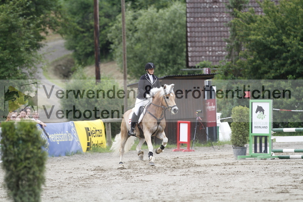 _MG_6513 | equestrian-live-com