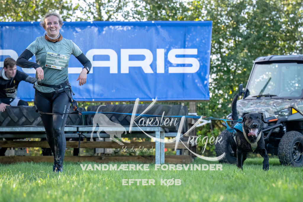 1013--2 | kk-dogfotos