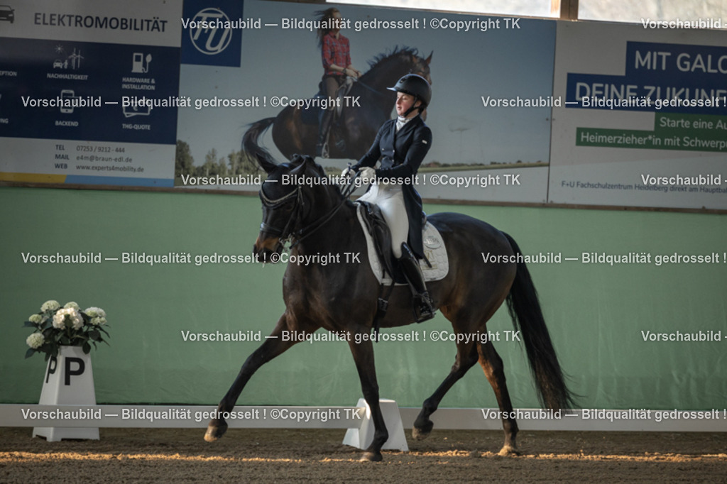 _D5A7700 | Emotionale Pferde- & People-Fotografie rund um Heidelberg, Leimen & Umgebung. Natürliche Fotos von Pferd, Mensch & Familie. Jetzt Termin sichern!