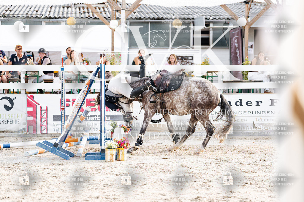 CK907045 | Turnierfotografie Pferdefotografie Trier Rheinland-Pfalz Pferdesport Reitsport Tierfotografie Sportfotografie Pferdevideo Pferdevideografie Equestrianvideography equestrianphotography  - Realisiert mit Pictrs.com