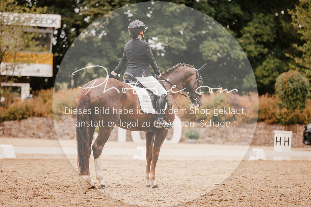 3I6A5863 | Stimmungsvolle Portraits und Reitsportfotografie im Ruhrgebiet und im Münsterland.

Pferdefotografie, Hundefotografie, Tierfotografie, Reportagen, Portraits von Tier und Mensch, Turnierfotografie in Bochum, Recklinghausen, Marl, Haltern am See, Dülmen.. - Realisiert mit Pictrs.com