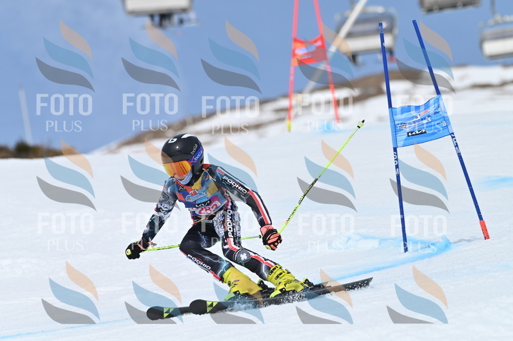 BGV_2473 | holidayphoto