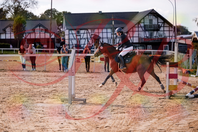 2026_10_03_Siefer-Hof_145727_Z81_39256002 | Professionelle Reitsport-, Turnier- und Eventfotografie von Robert Broda. Galerien mit ausgewählten und bearbeiteten Bildern direkt online ansehen und bestellen.