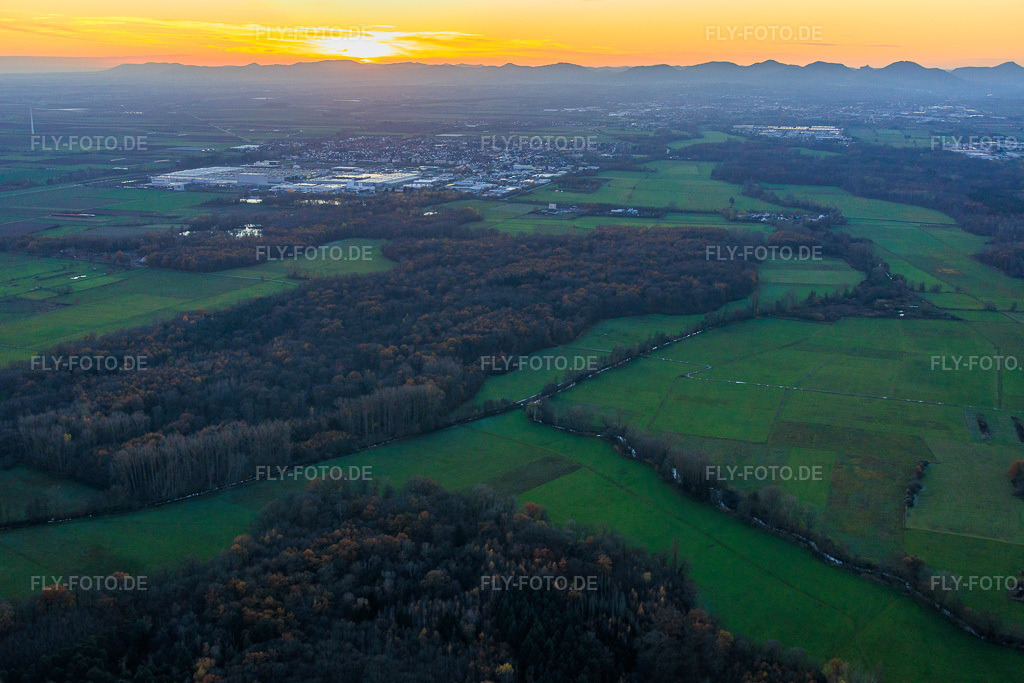 Luftbild: Naturschutzgebiet Queichniederung am Abend in Ottersheim bei Landau im Bundesland Rheinland-Pfalz in Deutschland. Foto: IMG_151691.jpg vom 18.11.2025 durch Werner Riehm/FLY-FOTO.de