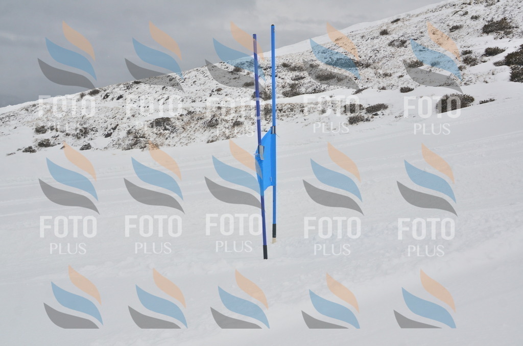 A5765 | holidayphoto