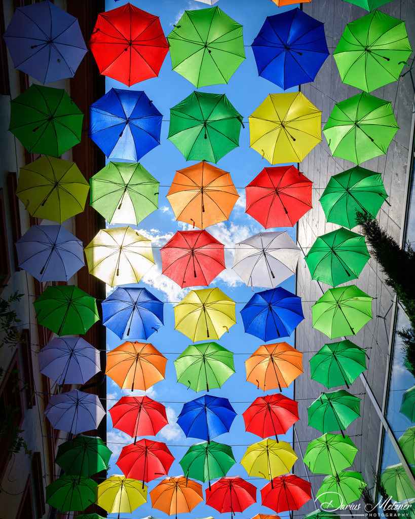 Umbrella Sky Projekt in Mainz in der Rotkopfgasse | Umbrella Sky Projekt in Mainz in der Rotkopfgasse