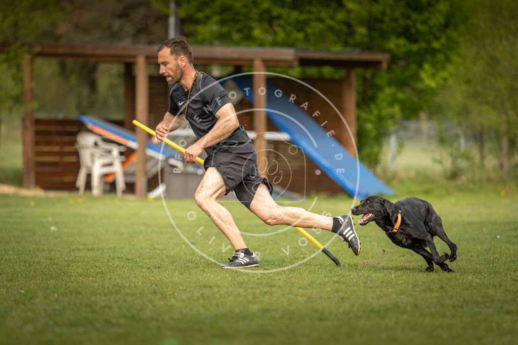 Pfotenfotografie_DV3A5515 | Hundefotografie, Tierfotograf, Pfotenfotografie, Fotoshooting Hund, Hunde Portrait, Hundesport, Hundeportraits, Heideshooting, Hunde, Sportfotograf, Hundefotograf, Turnierhundsport, THS,  - Realisiert mit Pictrs.com