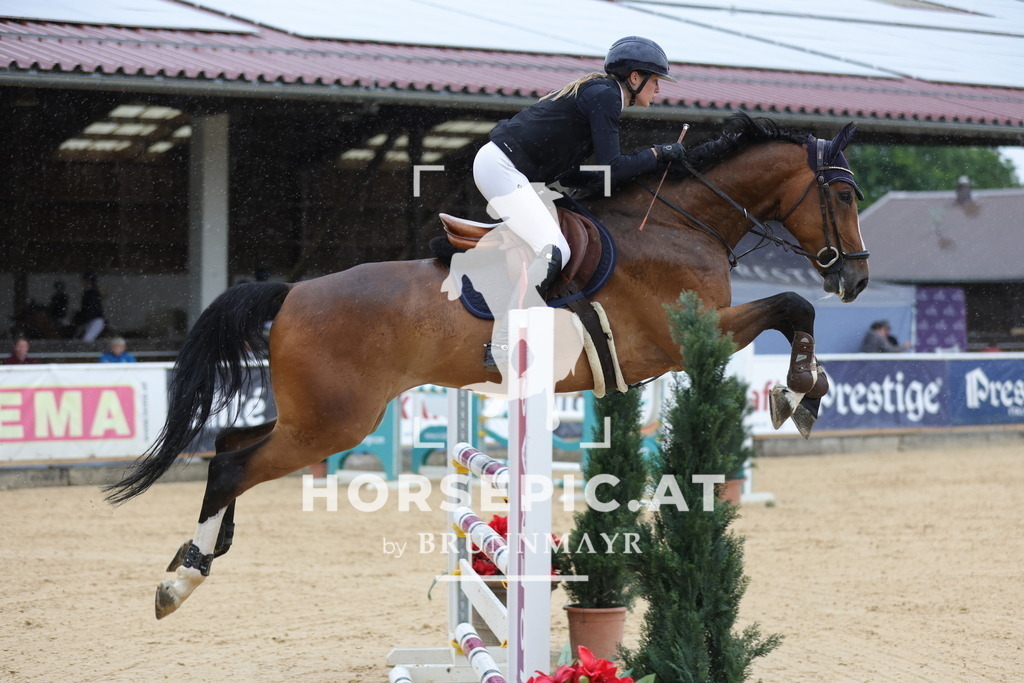 0P6A2445 | Willkommen bei Brunnmayr - Design & Fotografie – Ihrem Spezialisten für Reitturniere und Pferdeveranstaltungen in Oberösterreich, Salzburg und Bayern! Seit über 17 Jahren sind wir leidenschaftlich dabei.