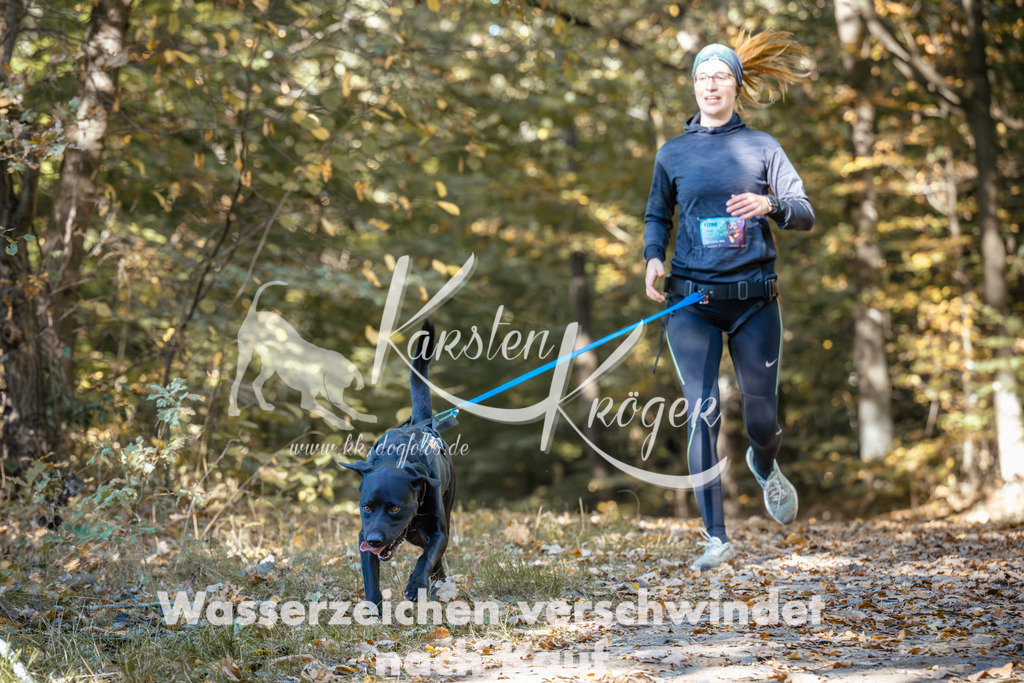 1214_ZZ94643 | kk-dogfotos