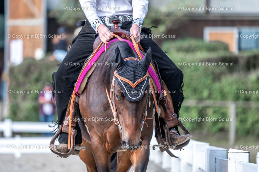 HOB00268 | BS-foto