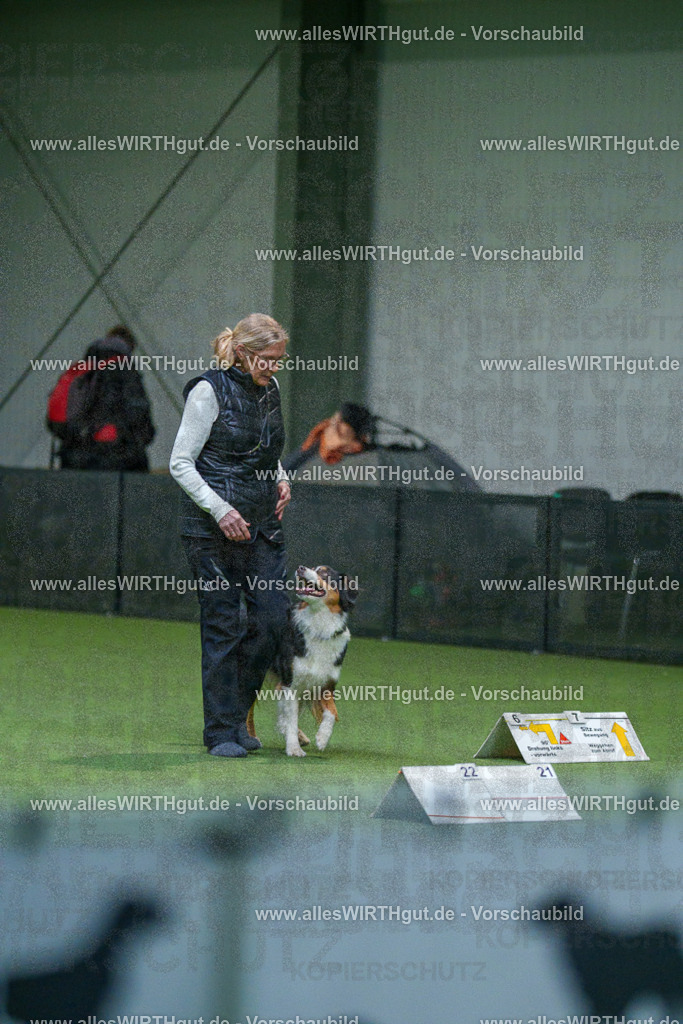 7R503336 | Professionelle Tierfotografie in Mönchengladbach von Daniel Wirth (allesWIRTHgut). Liebevolle & natürliche Bilder von Hunden & Katzen für unvergessliche Erinnerungen.