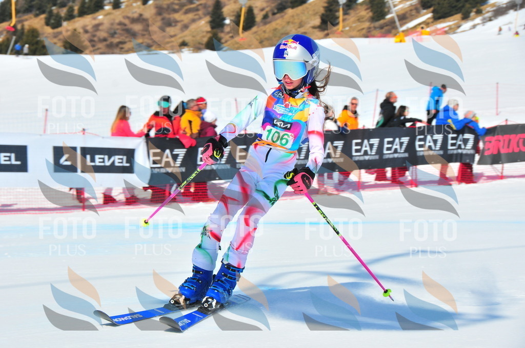 DSC_0783 | holidayphoto