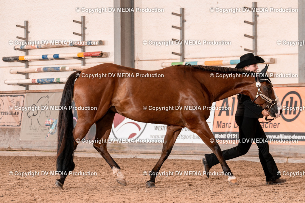 LM Heiligenwald Tag 1-352 | dv-media-shop - Realisiert mit Pictrs.com