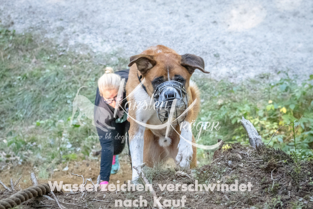 1201_ZZ92979 | kk-dogfotos