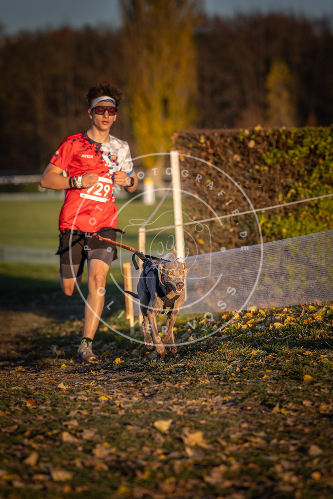 CaniXpix_DV3A5123 | Hundefotografie, Tierfotograf, Pfotenfotografie, Fotoshooting Hund, Hunde Portrait, Hundesport, Hundeportraits, Heideshooting, Hunde, Sportfotograf, Hundefotograf, Turnierhundsport, THS,  - Realisiert mit Pictrs.com