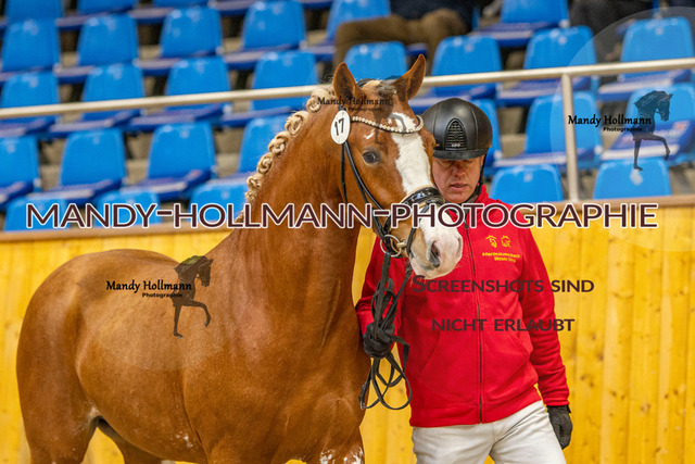 937A2770 | mandyhollmannphotographie