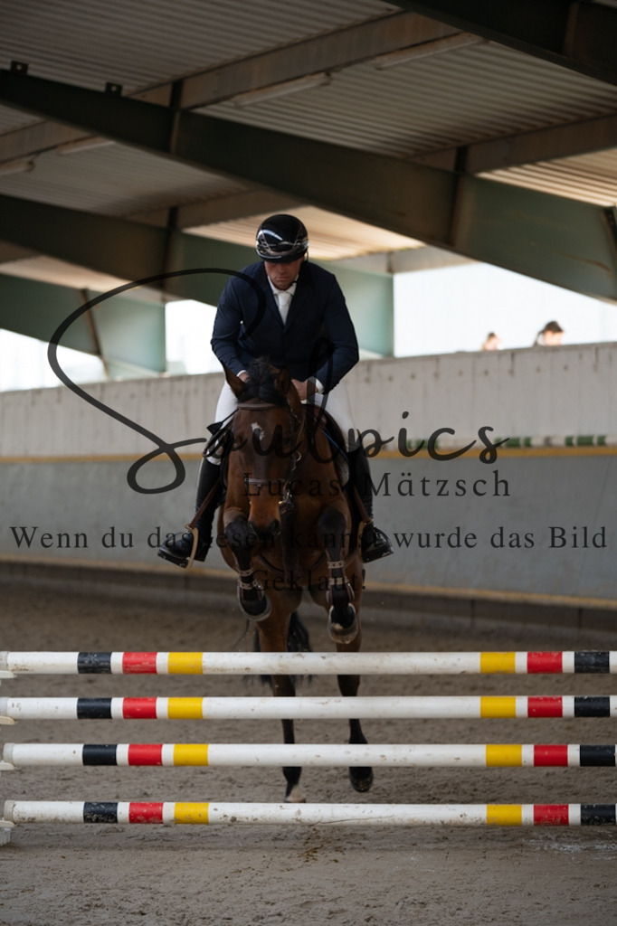 A7V08231 | Pferdefotograf